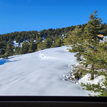 Greolieres Les Neiges Apartment Exterior foto